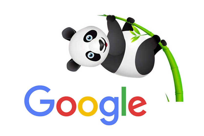 google panda 谷歌熊猫算法