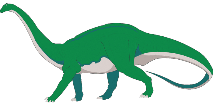 头部关键词与长尾关键词对比示意图